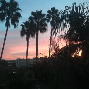 Meet your Posher, Riley